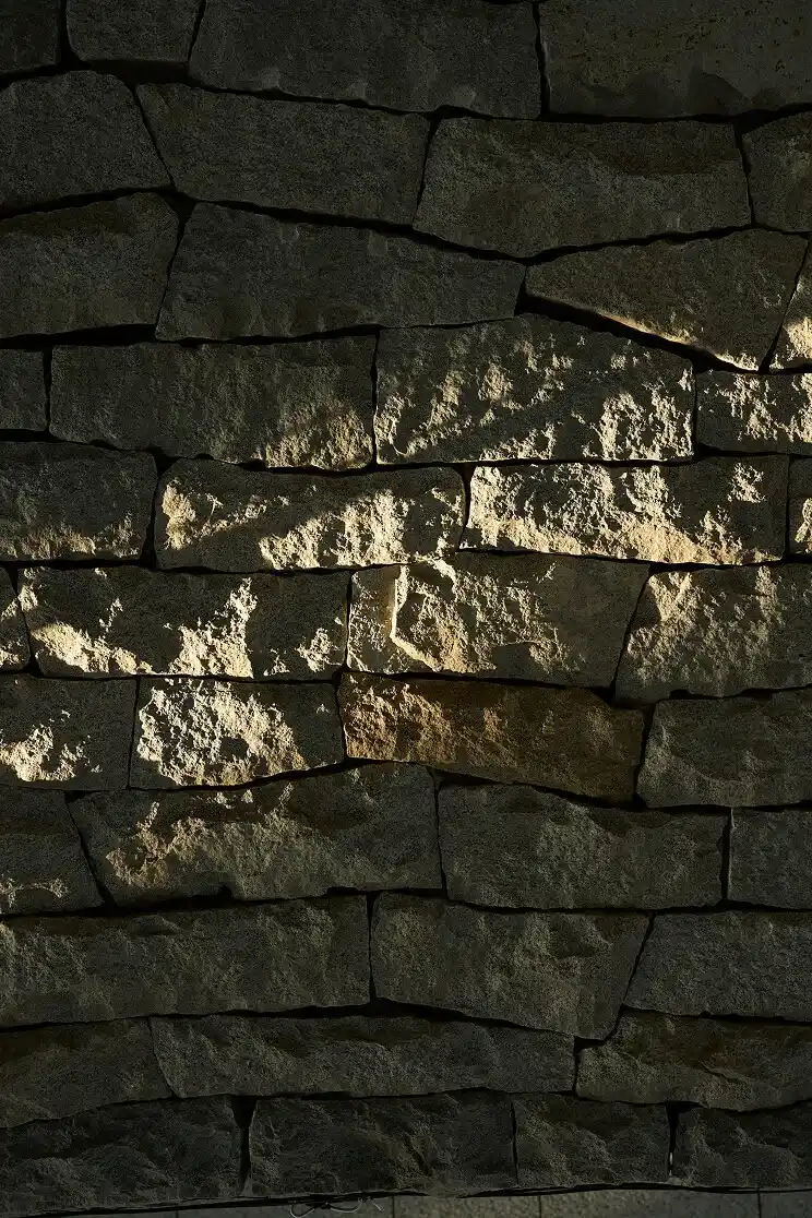 BALLOON TANKTOP 背景画像