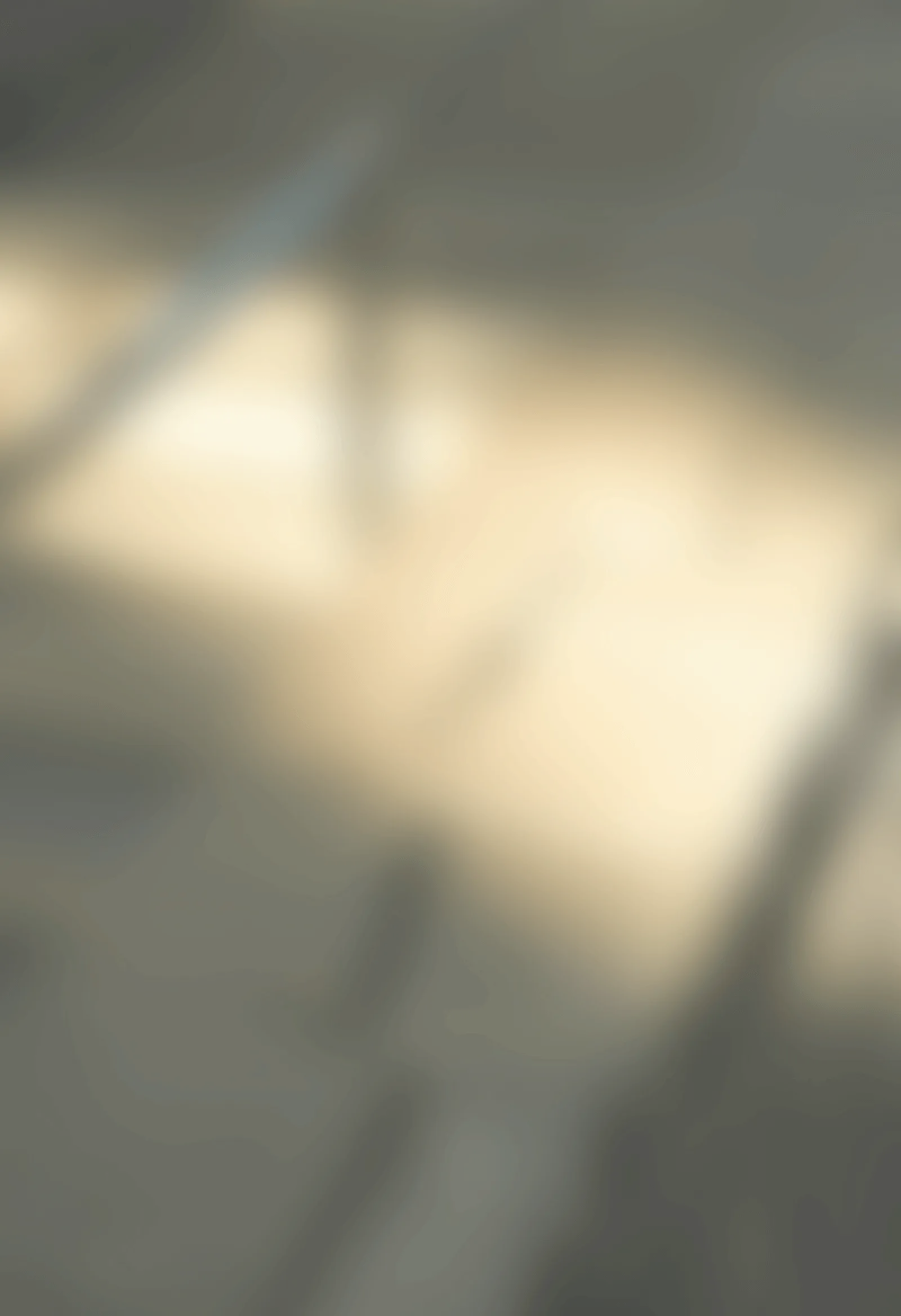 RIB OFFSHOULDER 背景画像